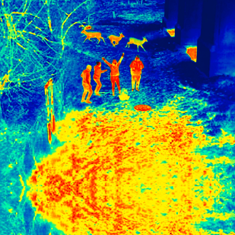 Thermographie infrarouge